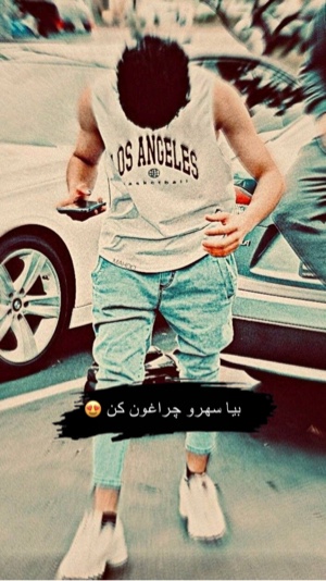 Cover Picture