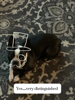 Very Distinguished!
