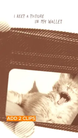 picture in my wallet