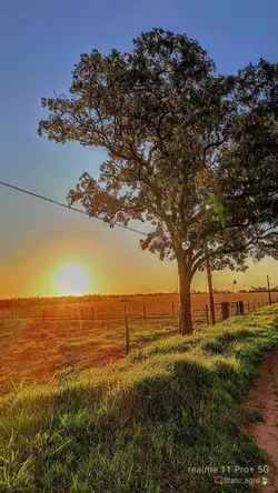 Maior Luxo Da Vida..