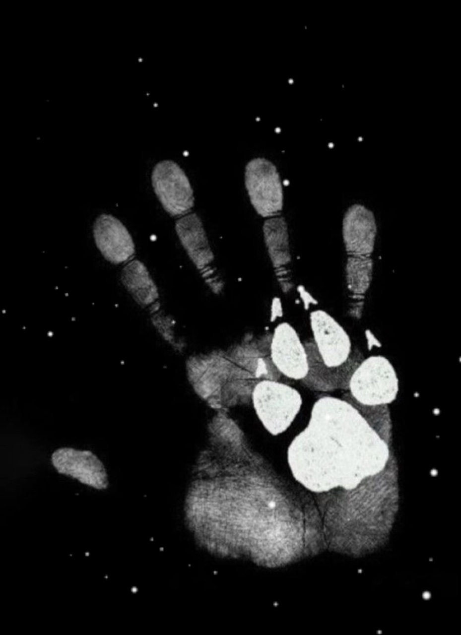 I lost my paw 🐾 