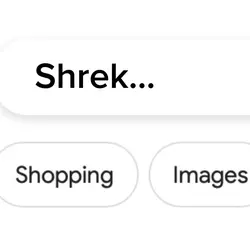 Shopping Edit