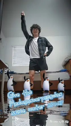 Penguin dancing