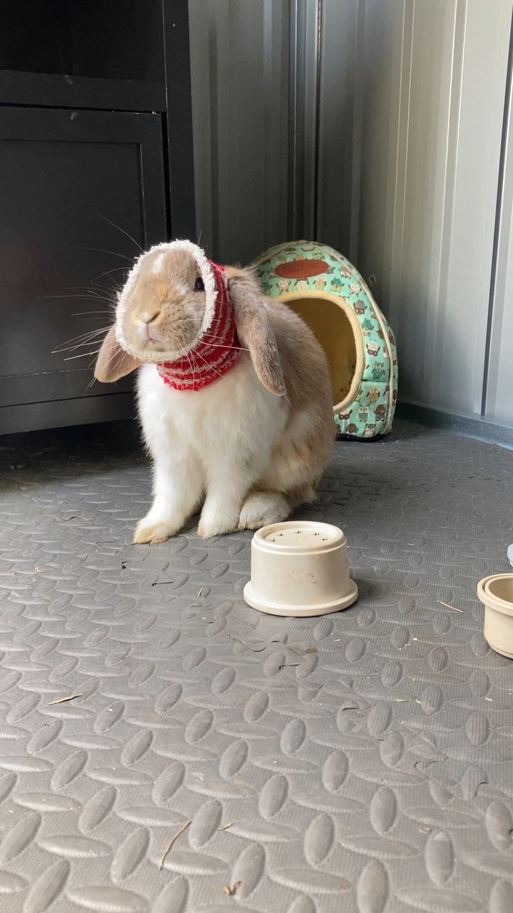 I need a nap! 