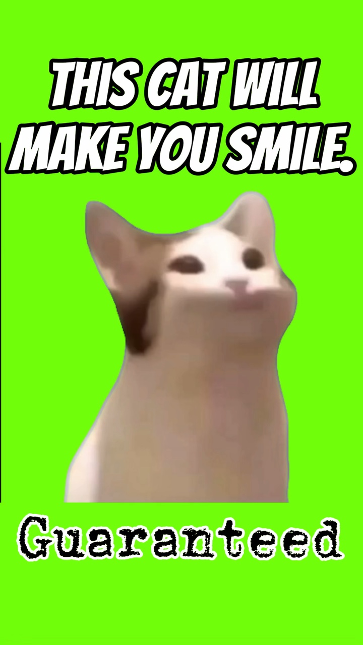 CAT MOUTH POP 