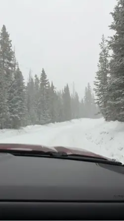 Winter Recap