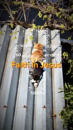 Faith in Jesus 