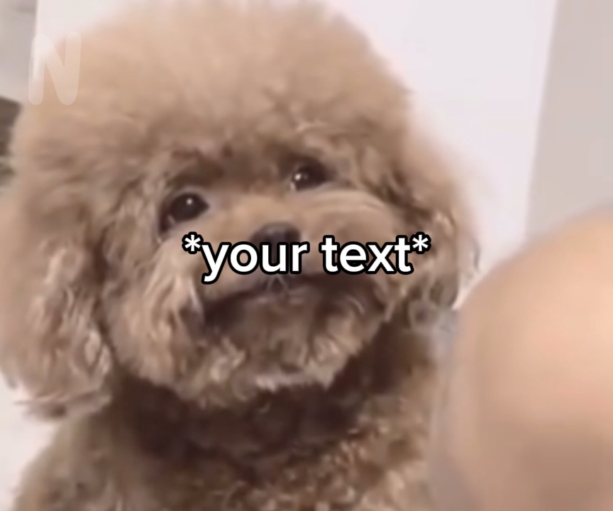 Smiling dog meme