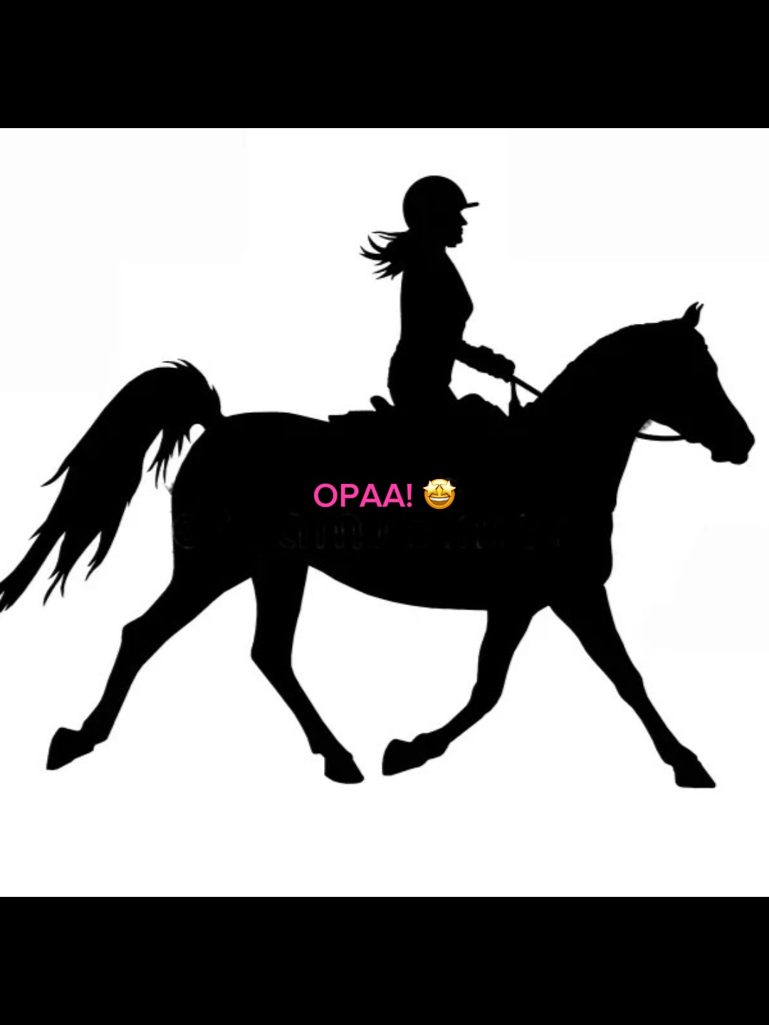 OPAA!