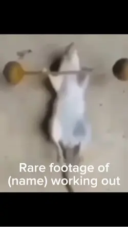 Rare footage🐀🏋️