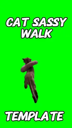 Cat sassy Walk