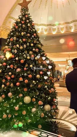  Merry Christmas 🎄🎁 