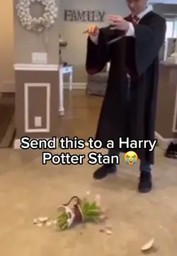 Harry Potter meme