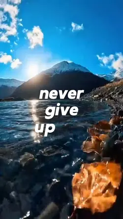 Never Give Up