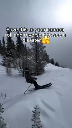 Ski meme