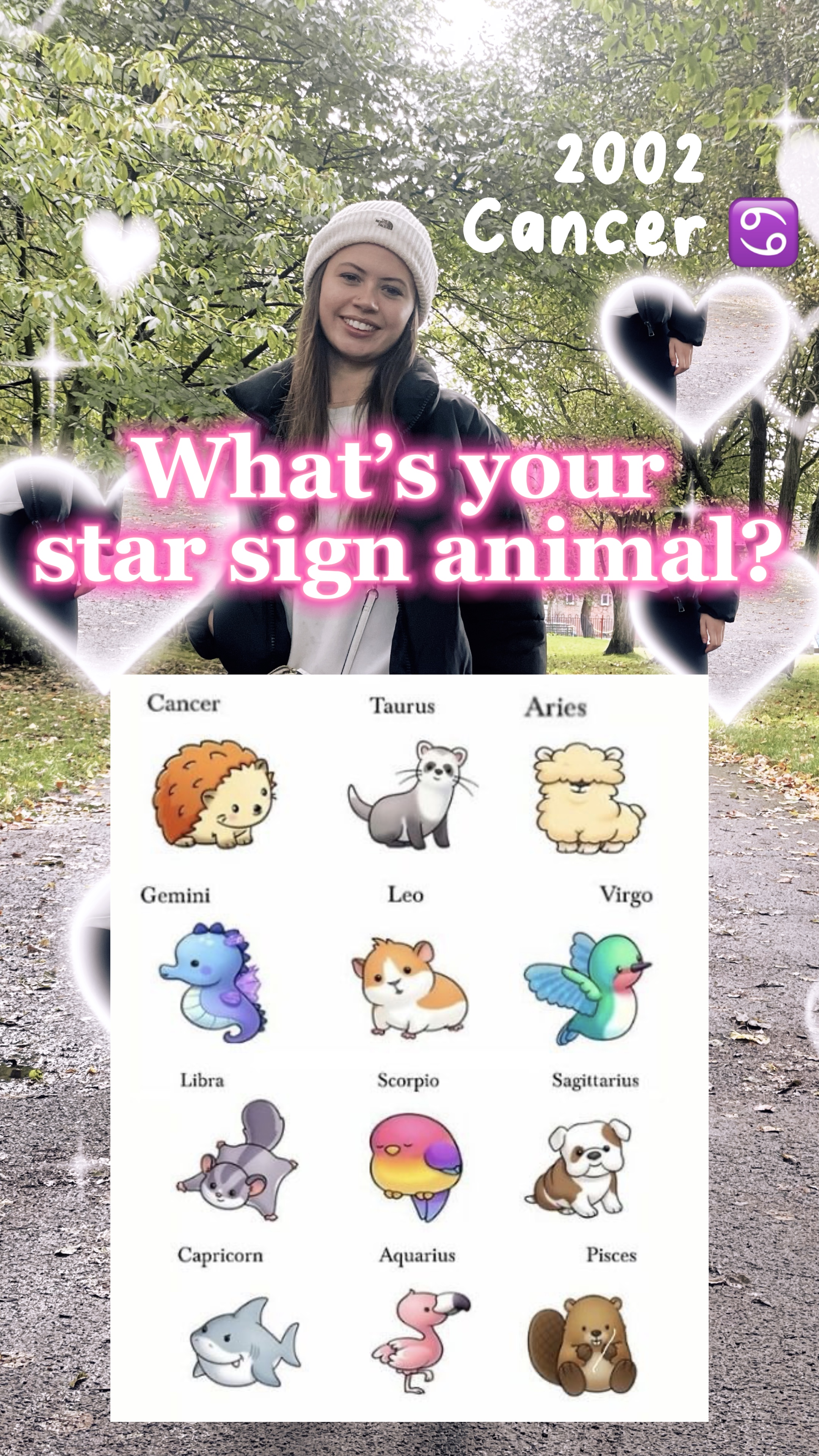 Animal signo ✨