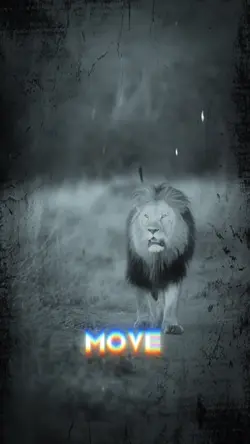 Move in silence 