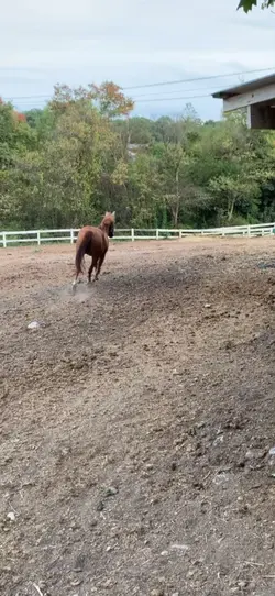 chuckles 🥹🫶🏻