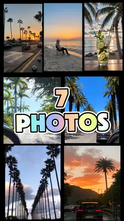 7 photos