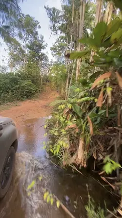 Transição Natureza 