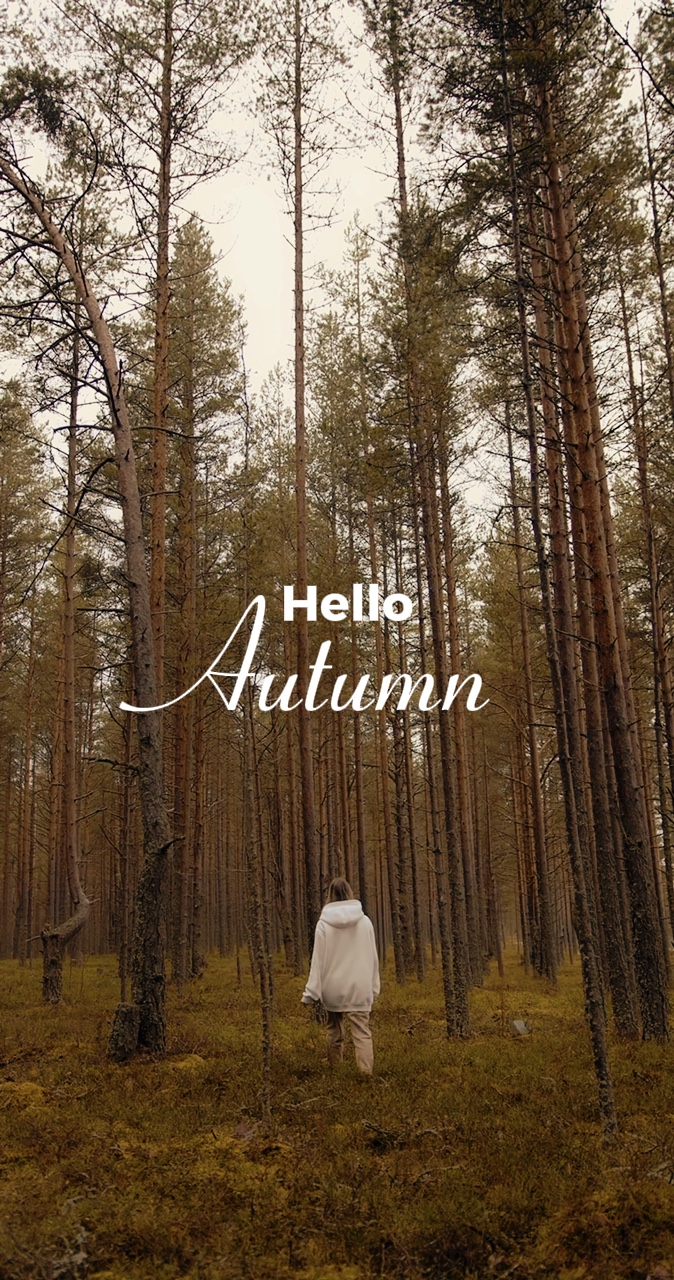 Autumn 🍂 
