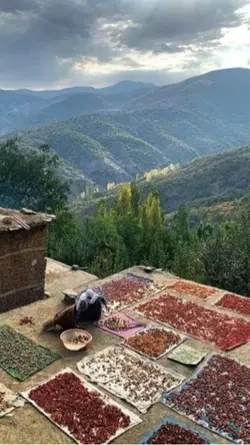 قلب آسیا ❤️