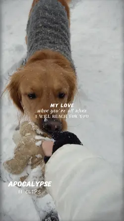 my love ♡ | 11 clips