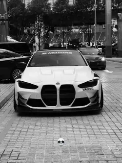 bmw frezze template 