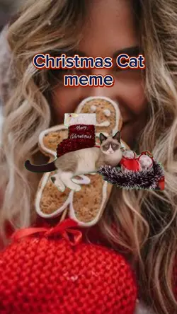 Cat Christmas