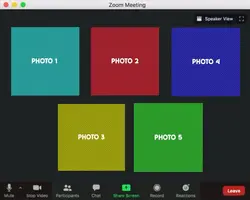 Character Zoom Call