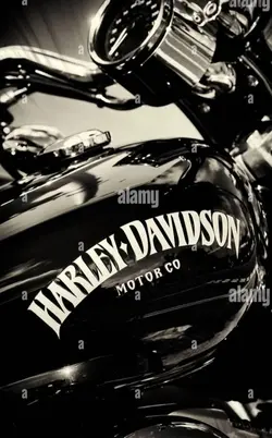 Harley Davidson 