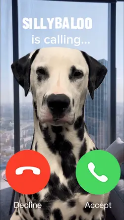 SILLYBALOO IS CALLIN