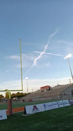 CHICKENS ARE DINOOSS