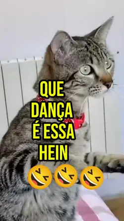 Dança Engraçada 2