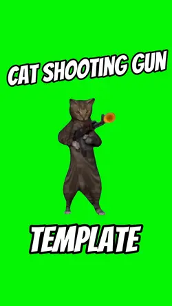 Cat Shooting Gun