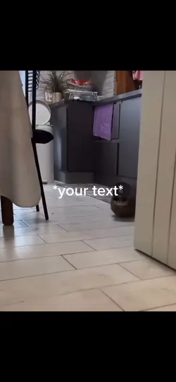 Cool cat