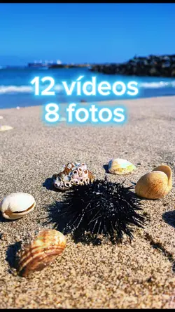 12 vídeos
8 fotos