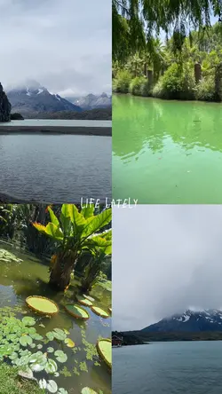 Recap aesthetic ⚡️