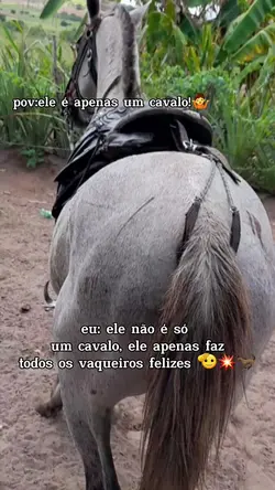 não é apns um cavalo