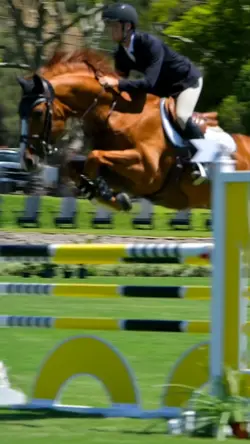 ⚠️NOT REAL⚠️AI VIDEO🚨