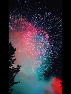 🎆🥳Firework🥳🎆