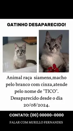 Procura-se 
