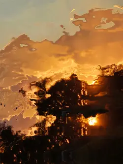 animation transition