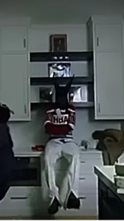 Playboi carti