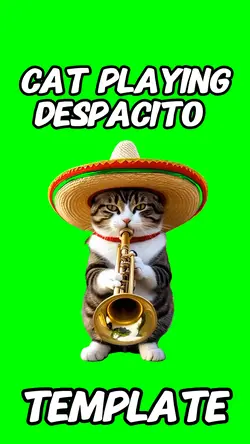 Cat playing Despacit