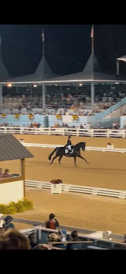 Dressage!!