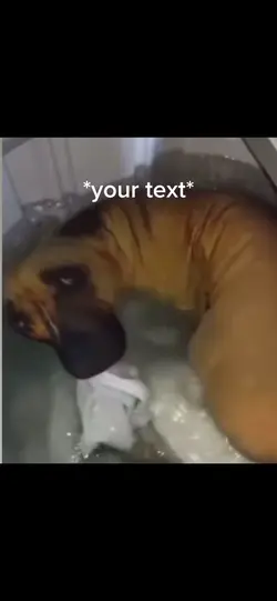 Dog pillow