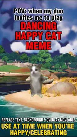 Dancing happy cat