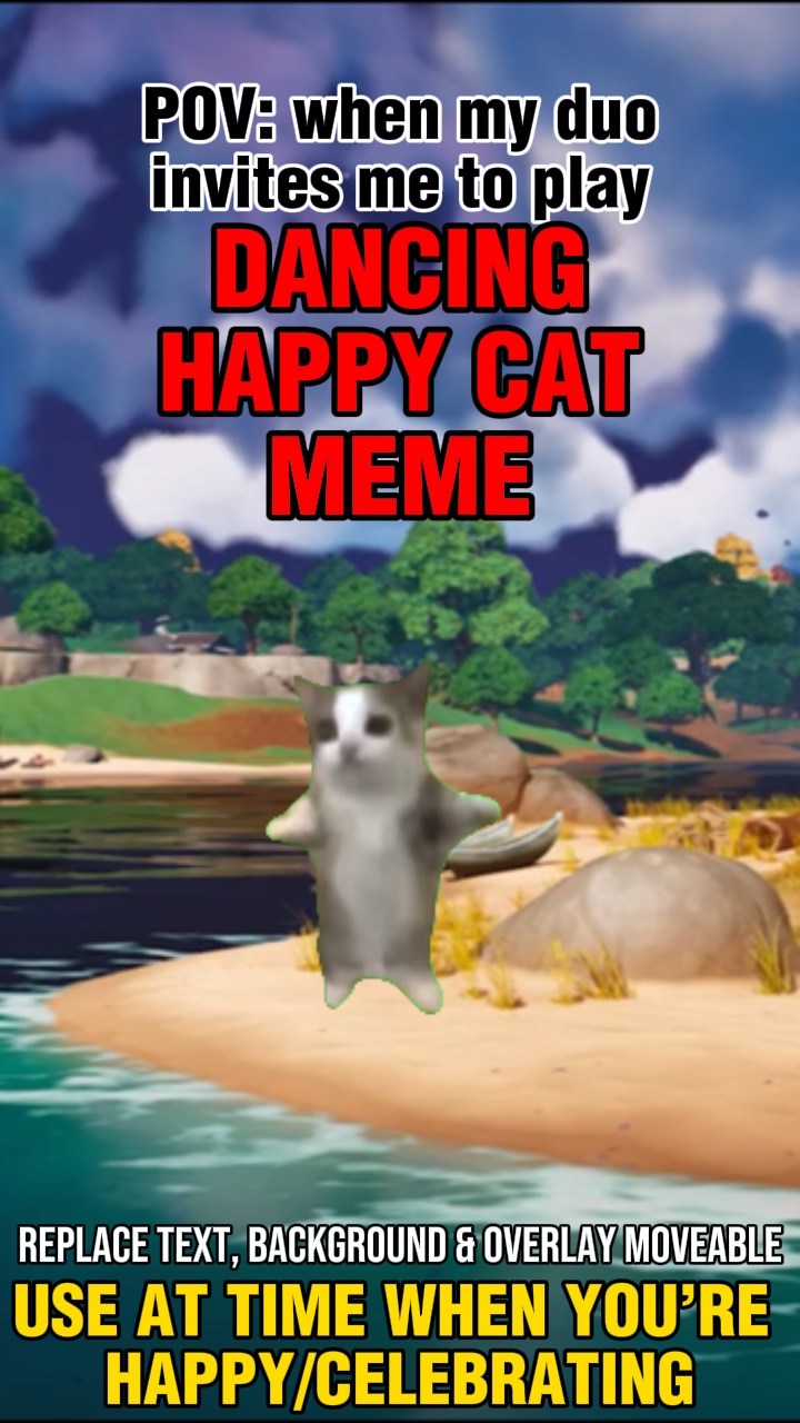 Dancing happy cat