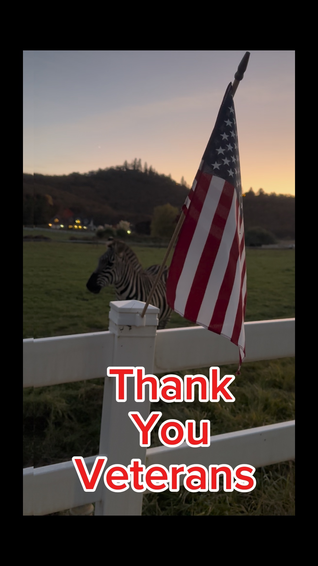 Veterans Day